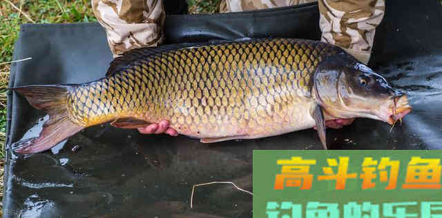 连续空军，再好的心态都会急躁