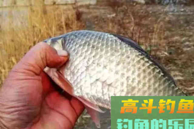 漂相乱时怎么办？马上照我说的办，上鱼快到没话说