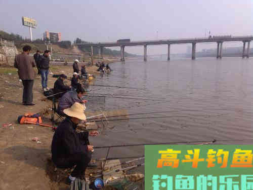 用这几个招数，找到鱼口并不算难