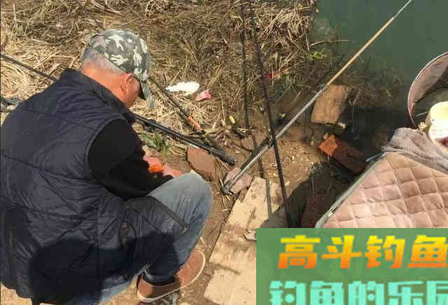 刚放生的鱼不会咬钩？恰恰相反，刚放生最好钓的