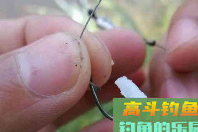 米饭饵这样用才最霸气