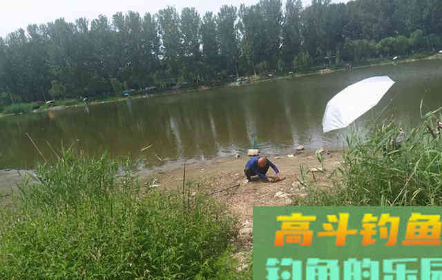 钓到鱼的好办法：并非全靠钓具，而是靠套路