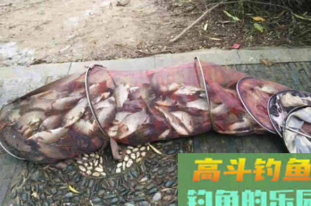 鱼口轻就没法钓了？3个破解招式，千万莫忽视