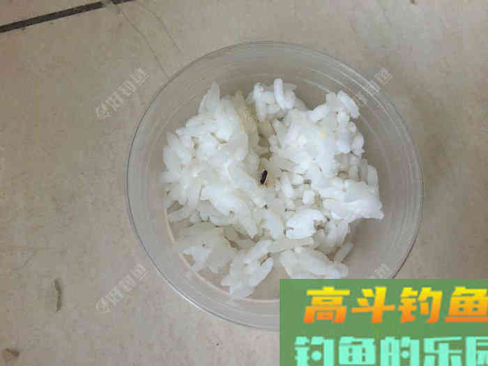 自制饵料良方，省您钱粮，照此施为，人安鱼康