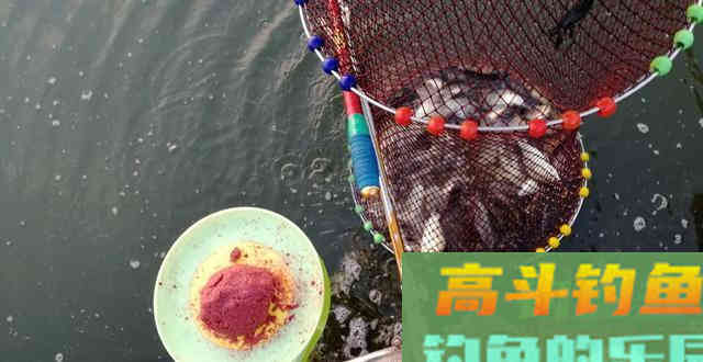 别抱怨饵料不好用，钓技钓法扎实的基本功才是你鱼获的关键