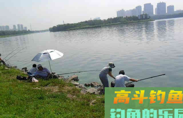 鱼口越来越慢，试试这几招
