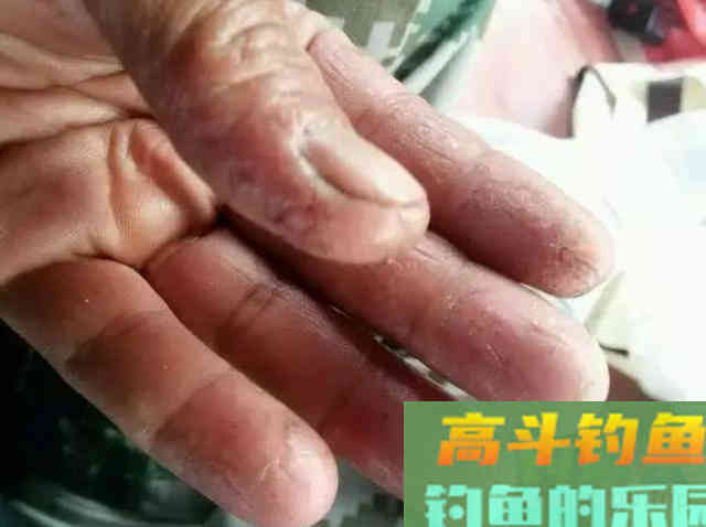 海钓面饵的味型是什么？真正诱鱼的是什么东西？真有那种神饵吗？