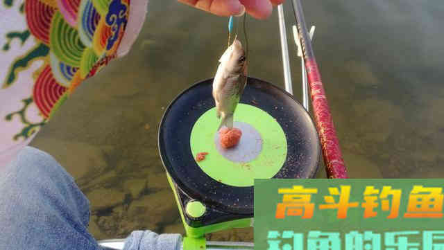 详解钩饵在水底常见的五种状态，一般钓友还真不知道