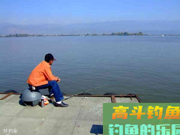 老鬼冬钓鲫鱼饵料配方，针对不同水域