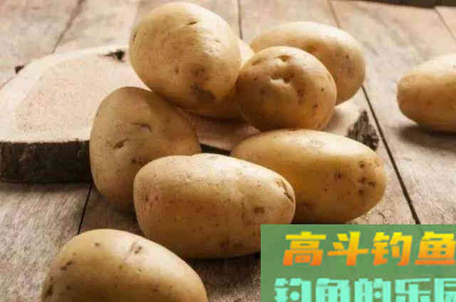 立秋过后，不知用这草鱼饵有多过瘾