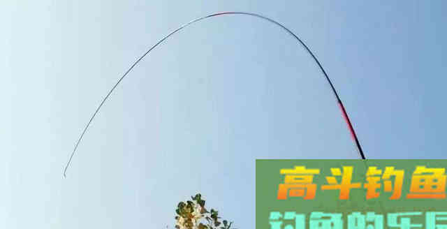 超难钓的轻口、弱口、滑口鱼怎么治?谨记这3招 超难钓的轻口、弱口、滑口鱼怎么治?谨记这3招