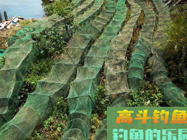 钓鱼不钓草，等于瞎胡跑”，忽视这5点，钓草同样是瞎胡跑