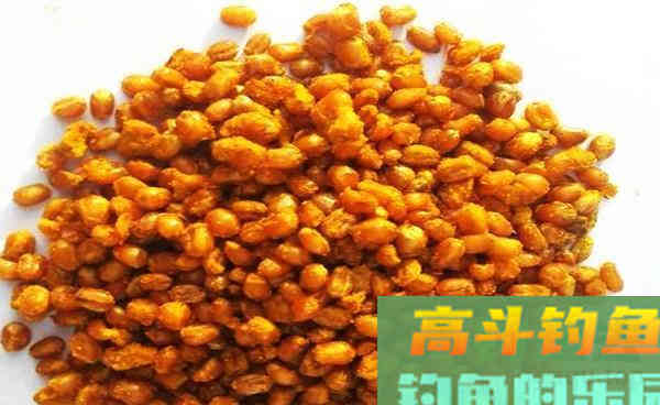 农村常见的两种谷物，拿来做饵料，大小鱼通杀