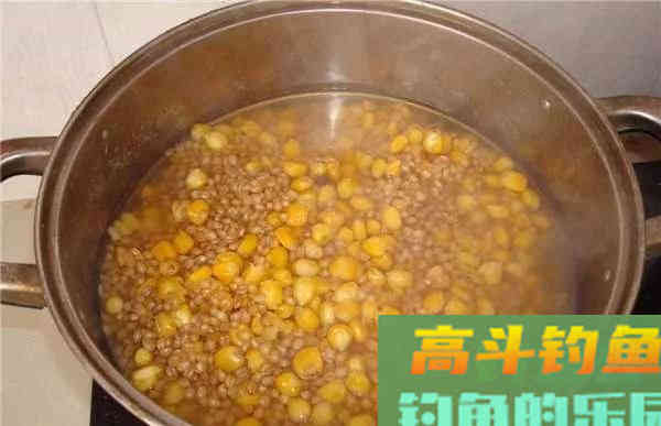 钓大水面，还得是自制的老坛玉米，大鲤大草不停口