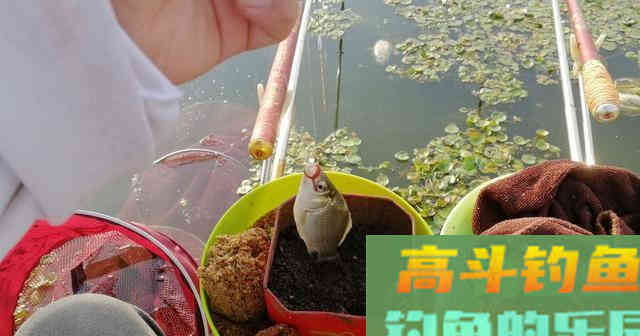 学会这款自制中药酒米，再也不用买了