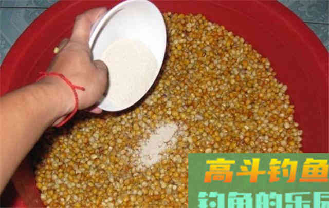 掌握泡和煮，加工出来的玉米，不愁大鱼不进窝