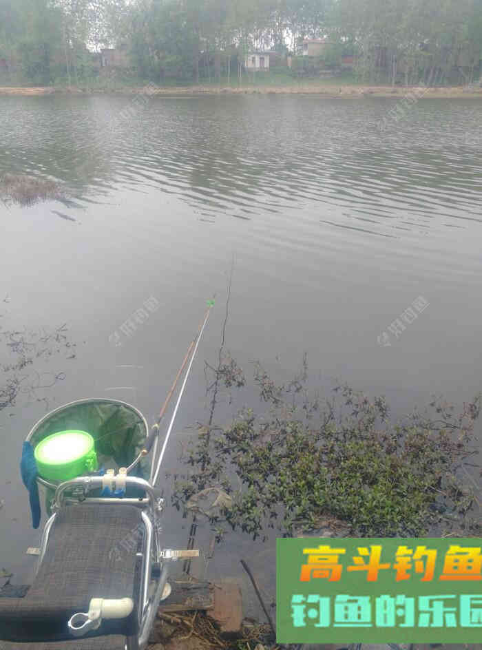 [春季放流]江湖猎人饵料，果然名不虚传