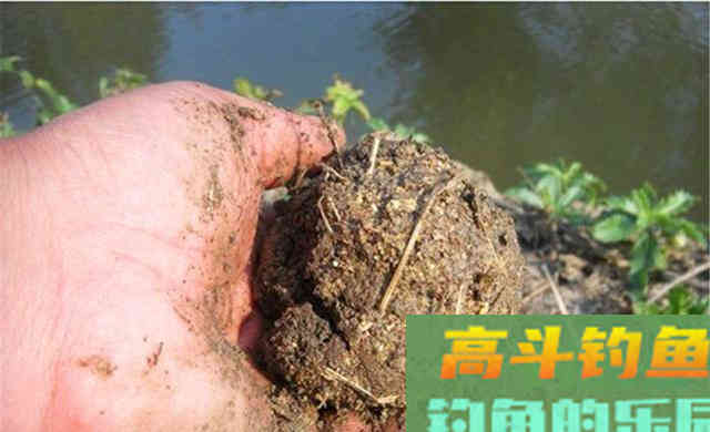 冬钓鲫鱼，酒米的3大科学用法