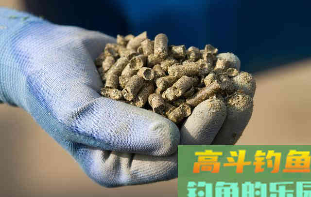 冬天钓鱼，如何快速诱鱼？这样打窝，效果杠杠滴