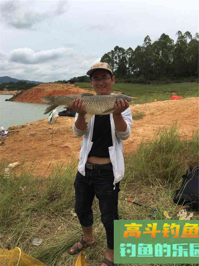 如何钓好过路鱼？可不带窝料，时常有惊喜