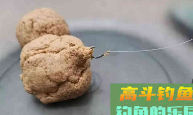 饵料状态对于钓鱼的影响
