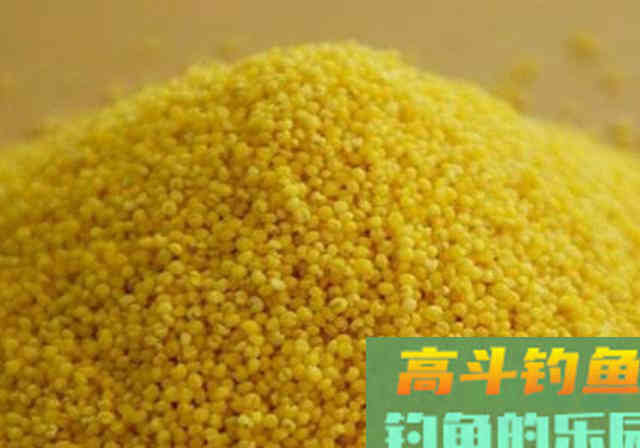 一盒华子换来的窝料配方，适合大水面使用