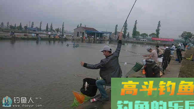 化氏秘籍之竞技钓用饵及浮漂使用技巧