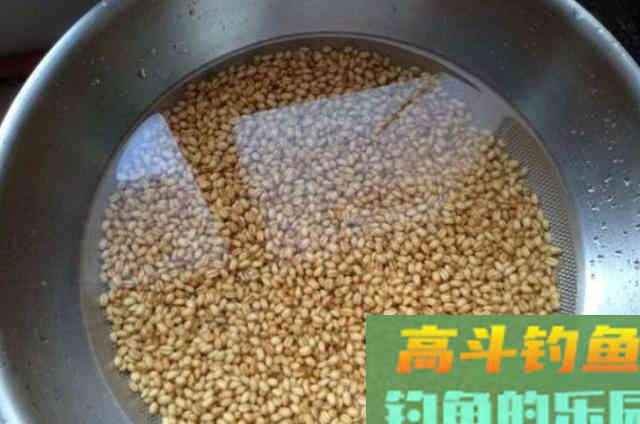 商品小药都甘拜下风！试用才知这特效鲫鱼饵不简单