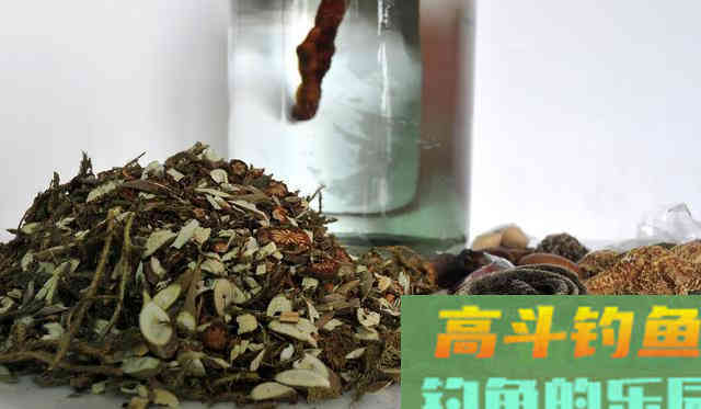 钓鱼药酒一天能速成！但太多人方法搞错了