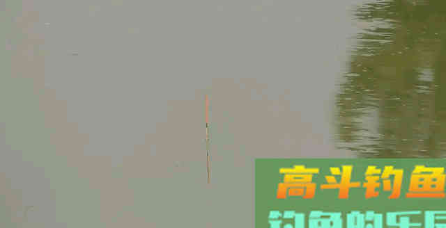 是什么决定了钓鱼隐藏定律