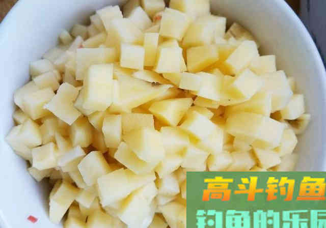 为了钓到鱼，钓友想尽各种办法！鱼：我们被包围了