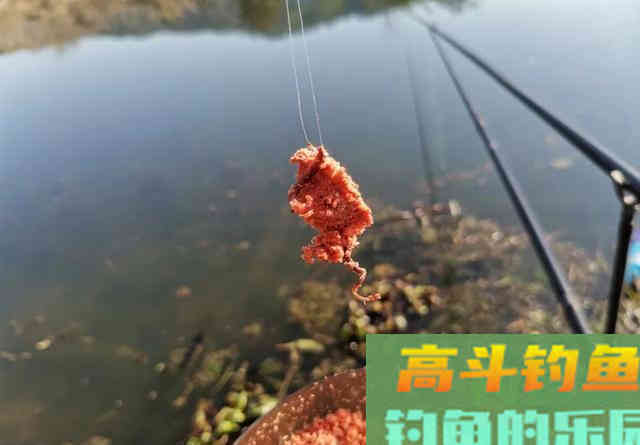 有水流的地方这样做窝诱鱼才快，效果要比手抛窝好得多