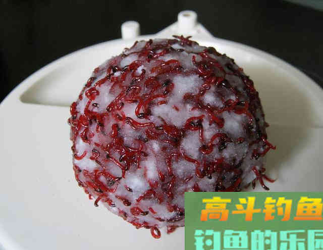 冬天钓鲫鱼就用这三种饵，连杆中鱼，不比夏秋效果差