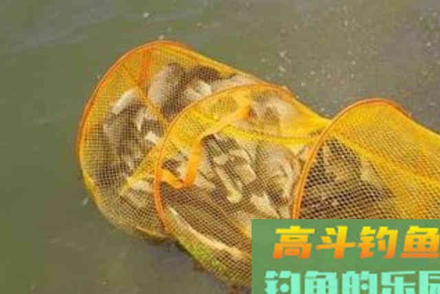 窝内诱来的鲫鱼不够多，庆幸我有这2种特效窝料