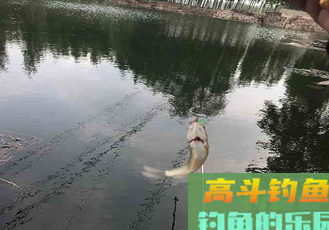 陌生水域垂钓，钓友记牢这套攻略，钓到鱼并不难