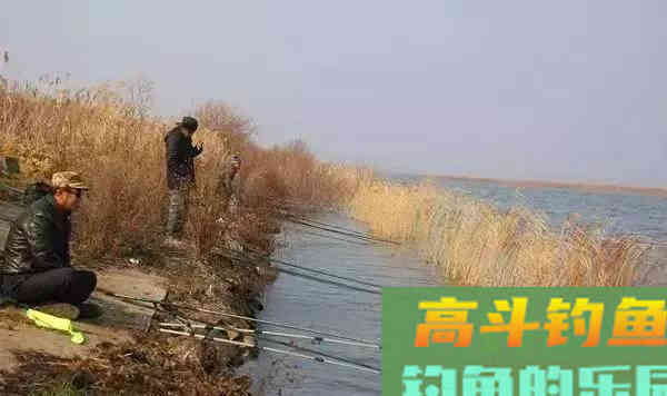 弄明白这些钓鱼口诀，钓鱼小白也能在冬天找到鱼窝