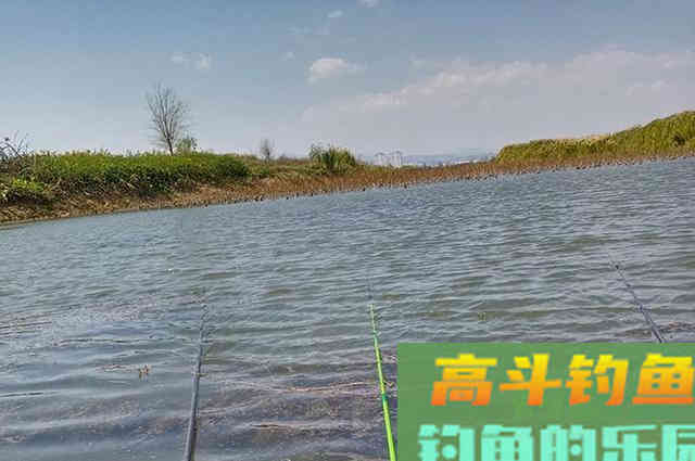 无偿送给钓友一套，钓鱼饵料添加剂配方