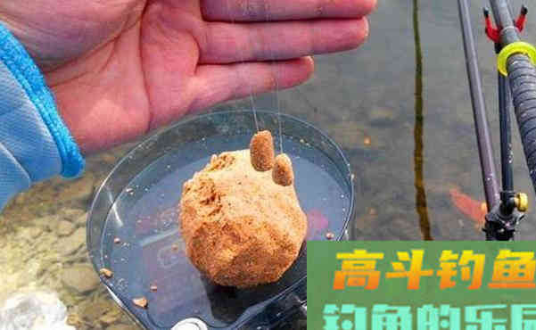 说一说鱼饵添加剂