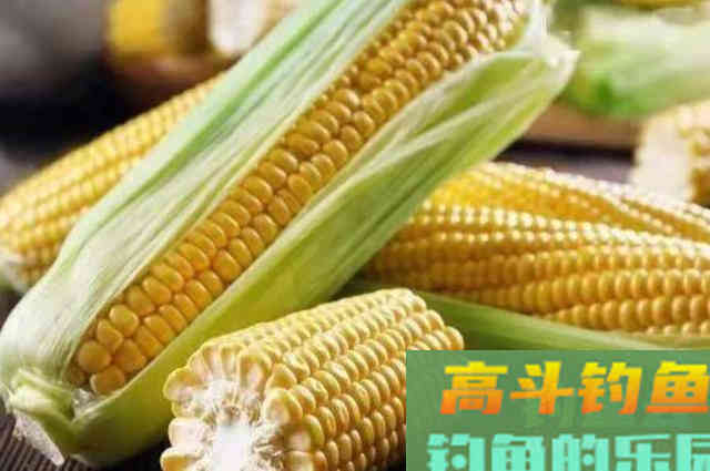 偷偷告诉你，这鲤鱼饵好用
