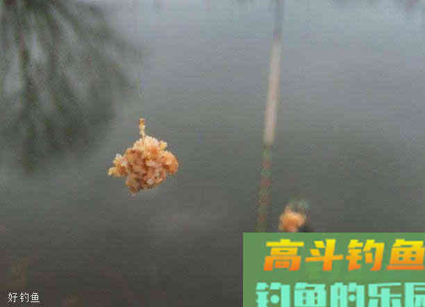 10款钓鲫鱼的经典饵料配方，蓝鲫只排到第三