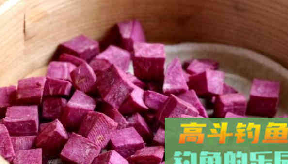 它才是钓鲤鱼的最佳天然饵