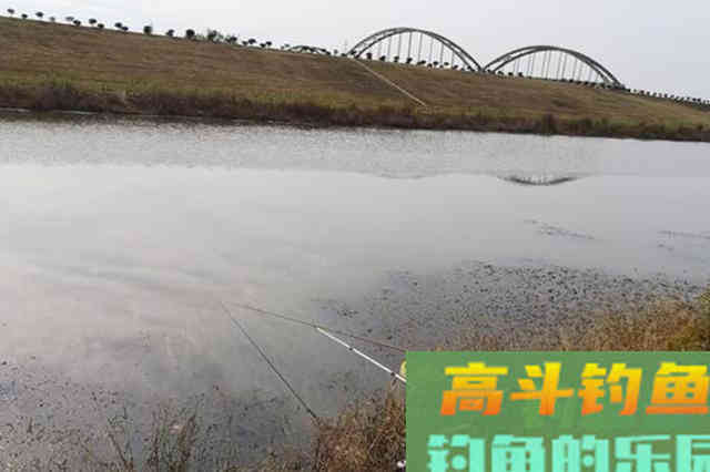 老司机直言直语：没用这3招，鱼获别想翻倍
