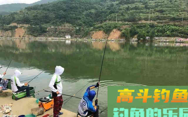 钓草鱼鳊鱼混养饵料新思路，成本几元钱，轻松破百斤