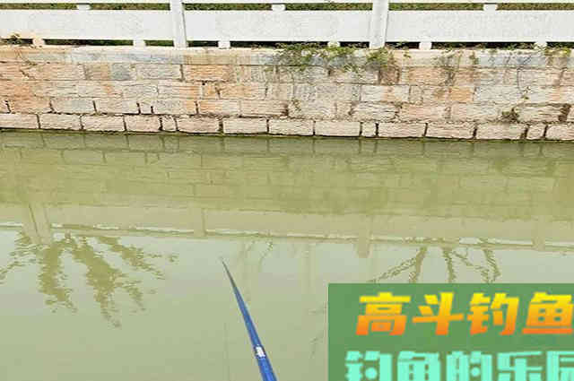 要想自制打窝米效果好，建议先把这几个问题搞明白