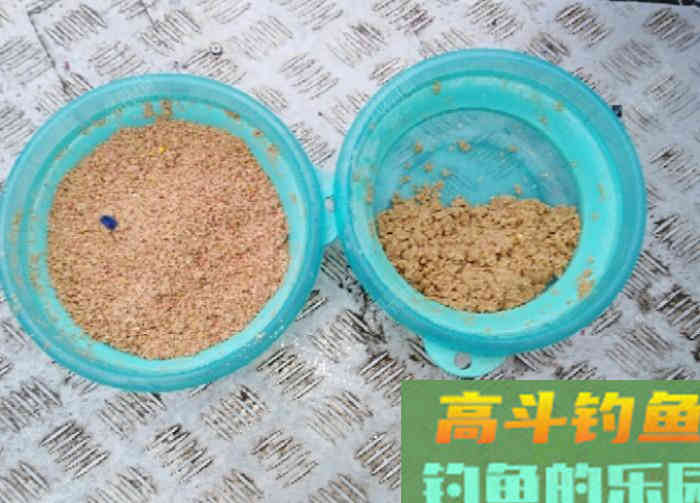 冬钓鲫鱼开饵体会