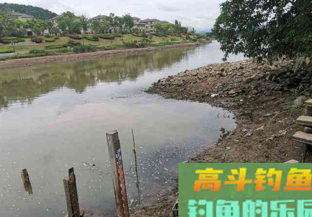一遇退水就不钓鱼了？告诉你一些实用的建议