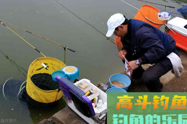 打一个窝，还是多个窝？这里给你讲明白