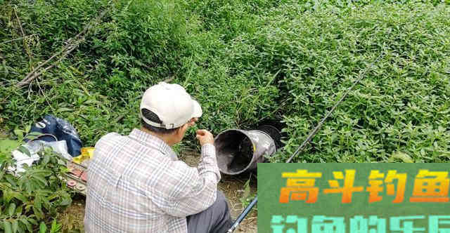 你比大爷钓鱼差的可能并不是钓技钓法
