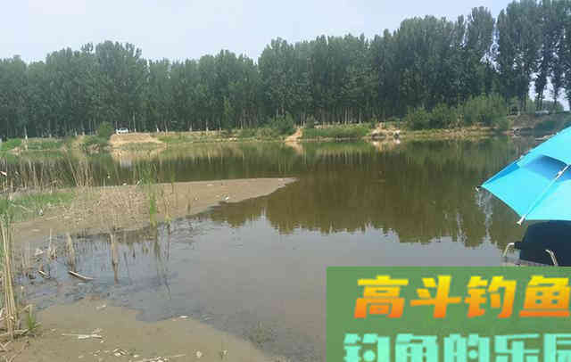 钓到鱼的好办法：并非全靠钓具，而是靠套路
