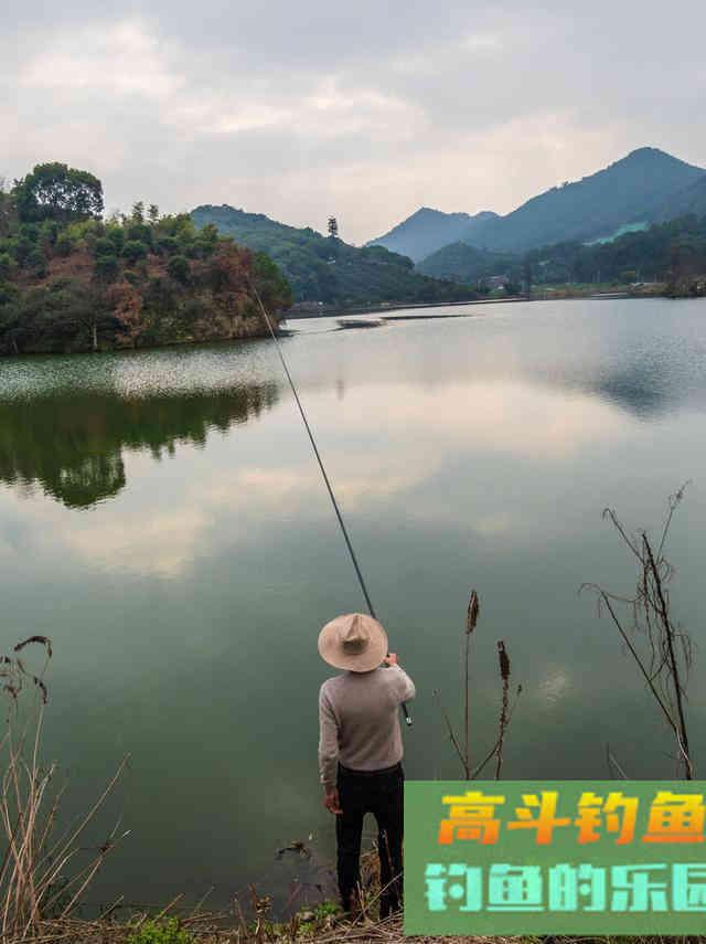 不用红虫和蚯蚓，斤鲫连续上岸